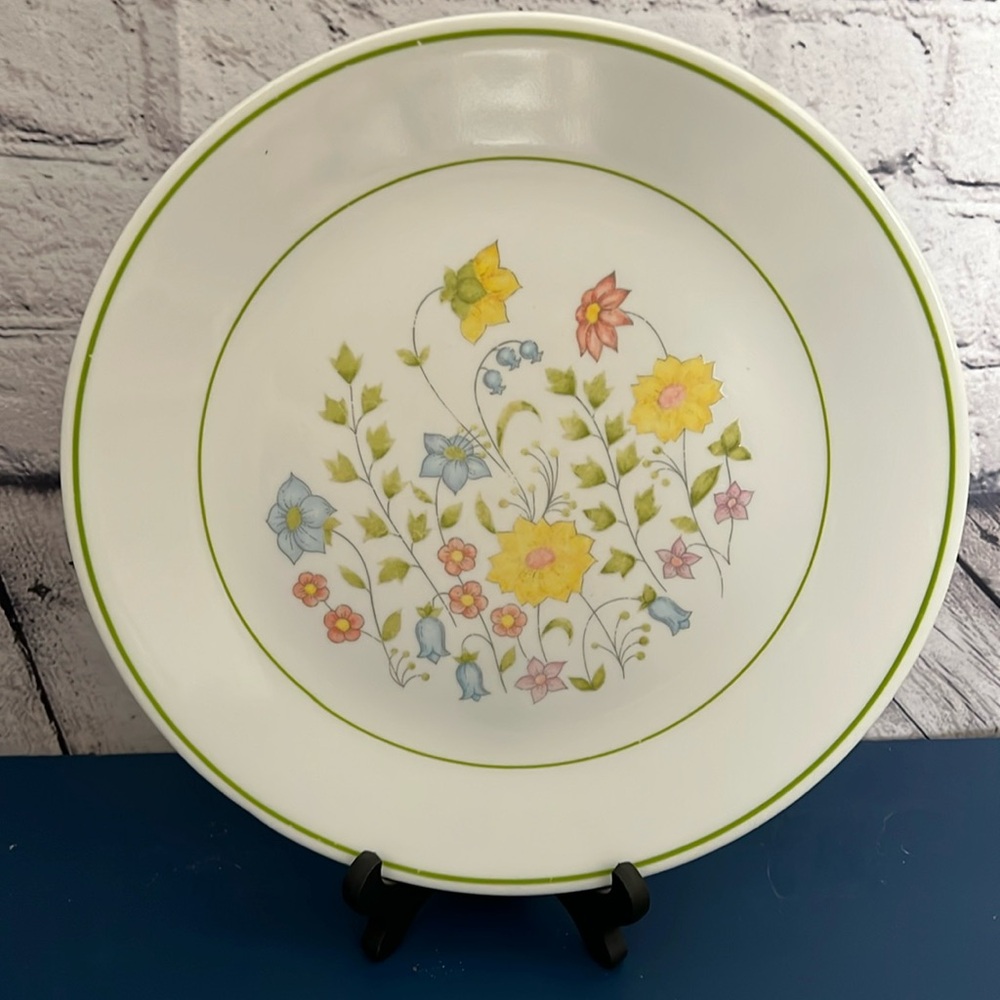 1 Corelle Corning Meadow Dinner Plate 10”